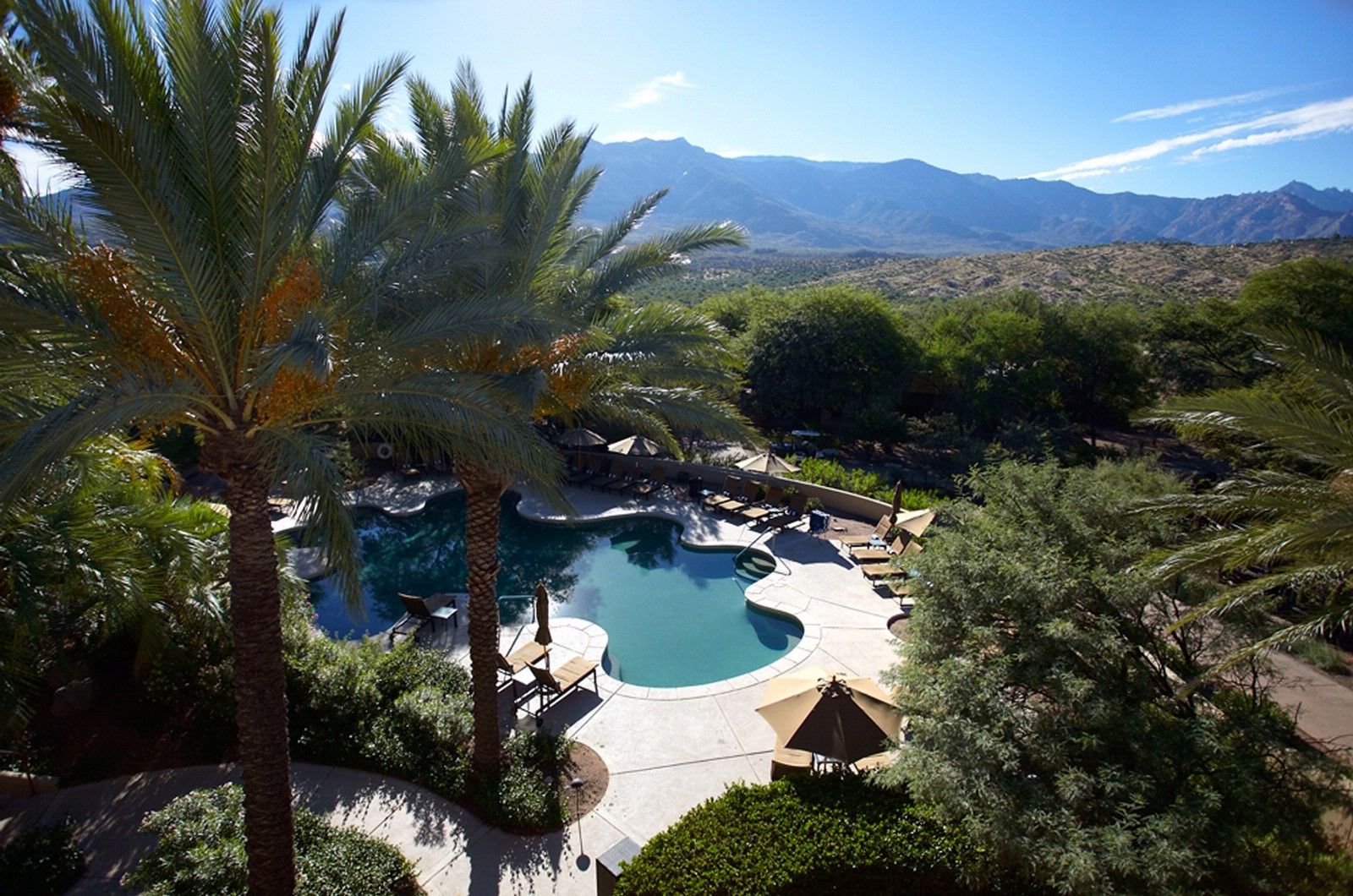 Miraval Resort & Spa (Adults Only) Catalina Fasiliteter bilde